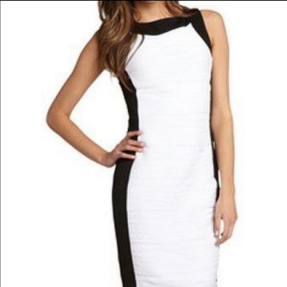 CALVIN KLEIN Black and White Dress Size 4